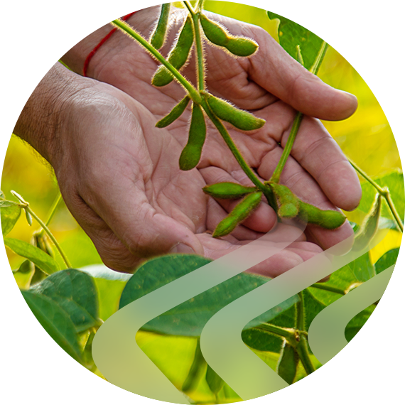 Crop protection product range consultation