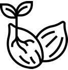Seeds icon